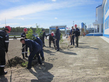 Высадка деревьев рядом с новым зданием СЭРБ на Казанском НГКМ